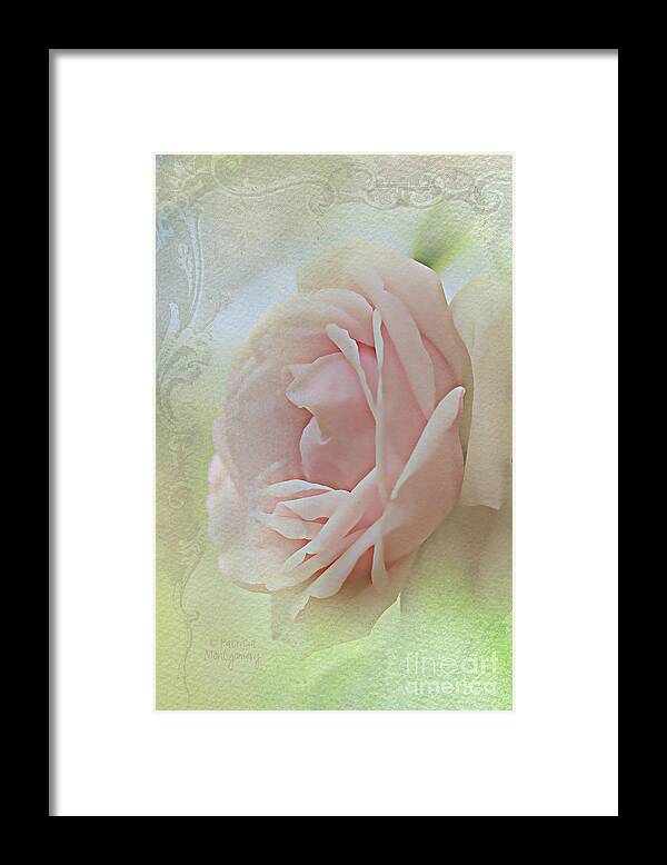 Rose Framed Print featuring the photograph Pink Bliss by Patricia Montgomery