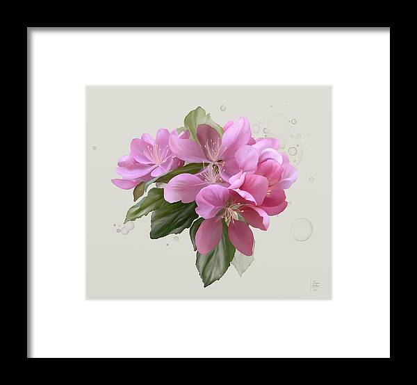  Floral Framed Print featuring the painting Pink blossoms by Ivana Westin