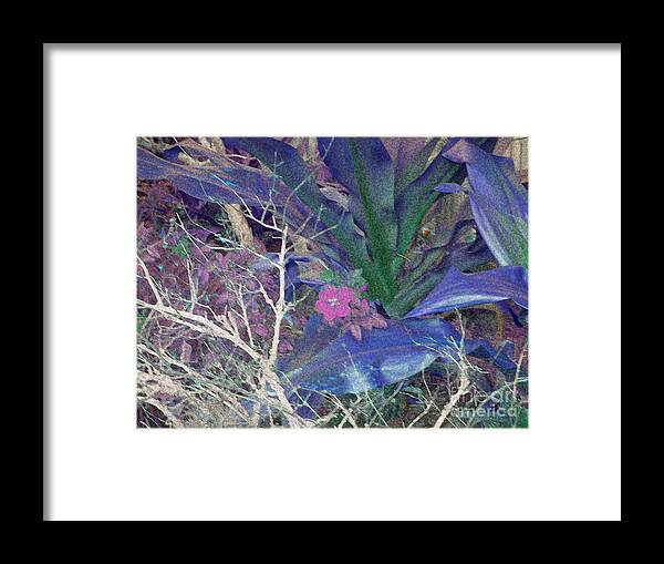 Pink Framed Print featuring the photograph Pink Blue Nature Design by Deborah Ferree