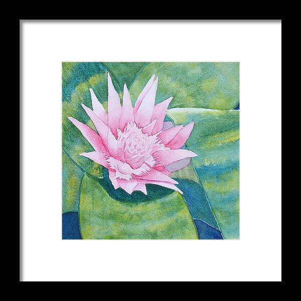 Floral Framed Print featuring the painting Pink Bromiliad by Judy Mercer
