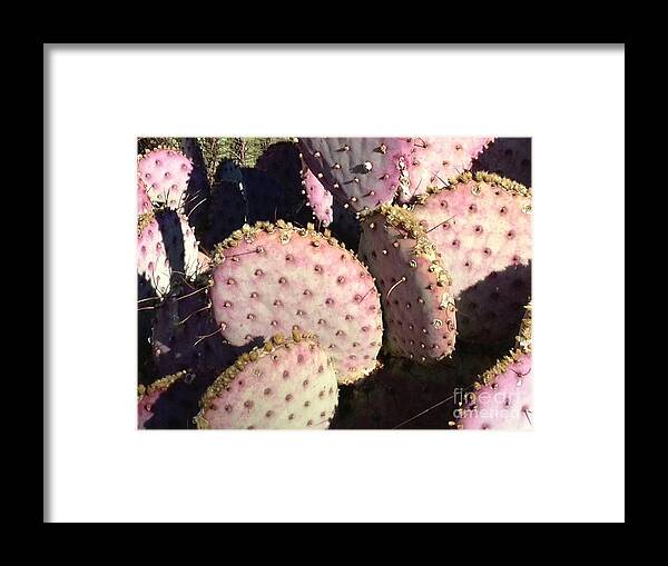 Landscape Framed Print featuring the photograph Pink Cacti by Glenda Zuckerman