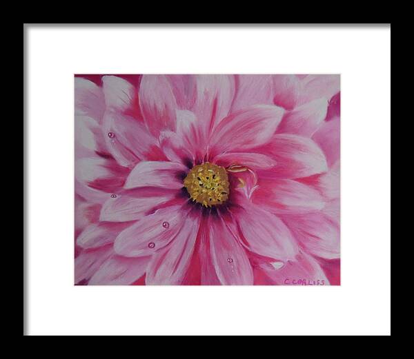 Garden Framed Print featuring the pastel Pink Dahlia I by Carol Corliss