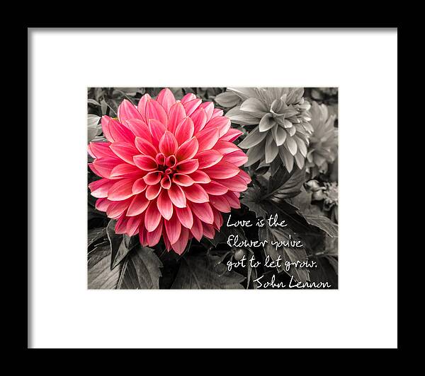 Dahlias Framed Print featuring the photograph Pink Dahlia with John Lennon Quote by Dawn Key