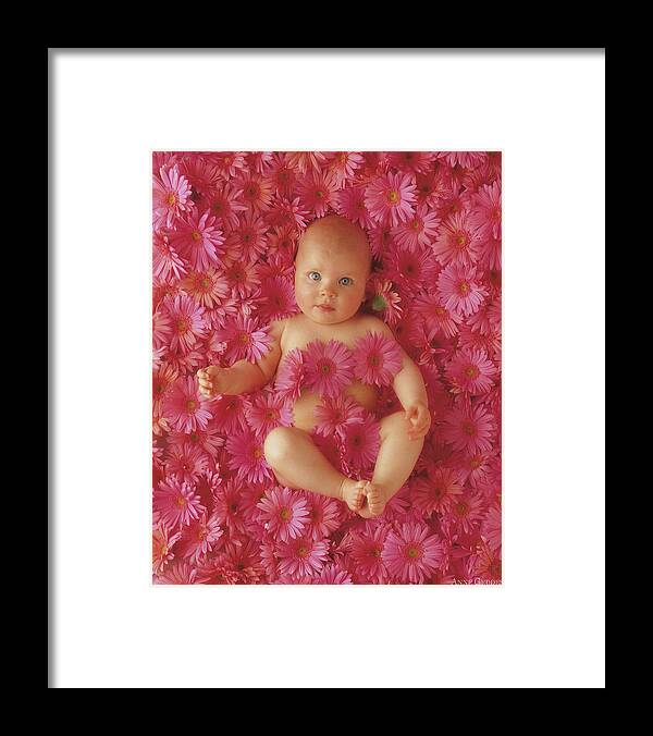 Daisies Framed Print featuring the photograph Pink Daisies by Anne Geddes