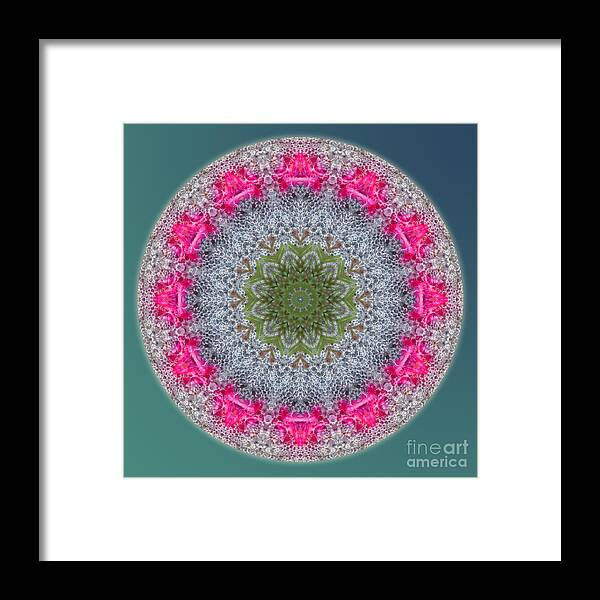 Bubbles Framed Print featuring the digital art Pink Dream by Kathy Strauss