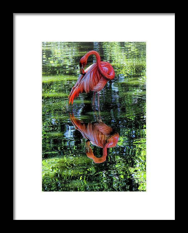 Bird Framed Print featuring the digital art Pink Flamingo by Lena Owens - OLena Art Vibrant Palette Knife and Graphic Design