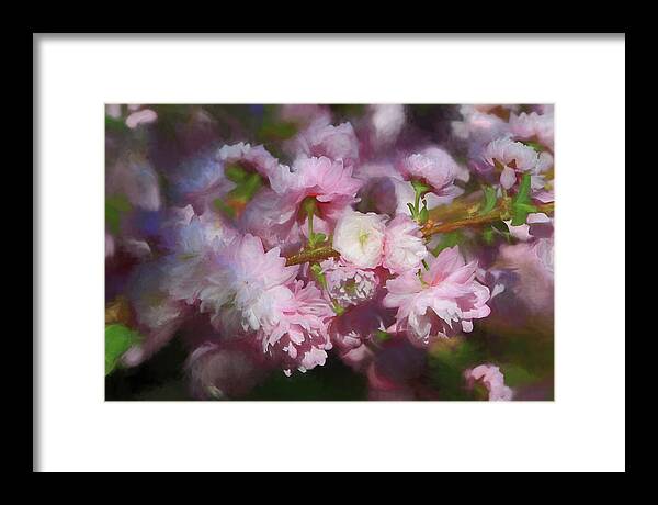 Flowering Almond Framed Print featuring the photograph Pink Flowering Almond by Donna Kennedy