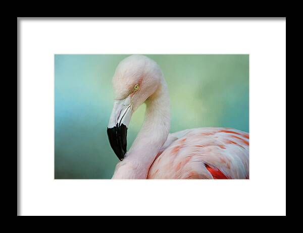 Ciconiiformes Framed Print featuring the photograph Pink Floyd by Lana Trussell