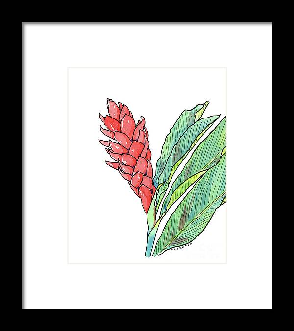 Ginger Framed Print featuring the painting Pink Ginger by Diane Thornton