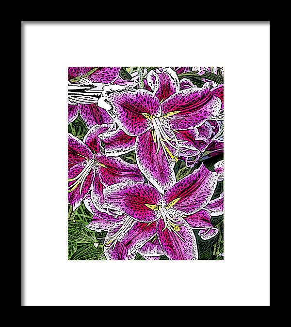 Nature Framed Print featuring the photograph Pink Lillies by Ann Tracy