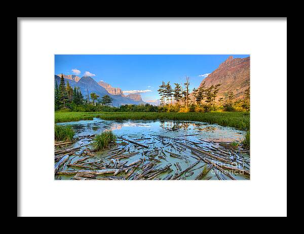 St Mary Lake Framed Print featuring the photograph Pink Peaks Over Driftwood by Adam Jewell