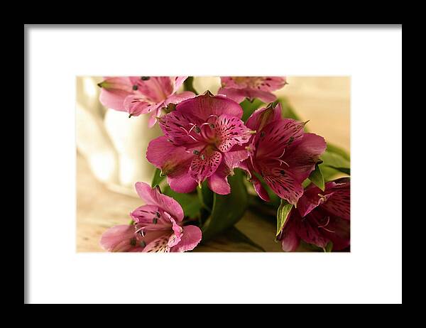 Pink Framed Print featuring the photograph Pink Peruvian Lilies in Repose by Cheryl Day