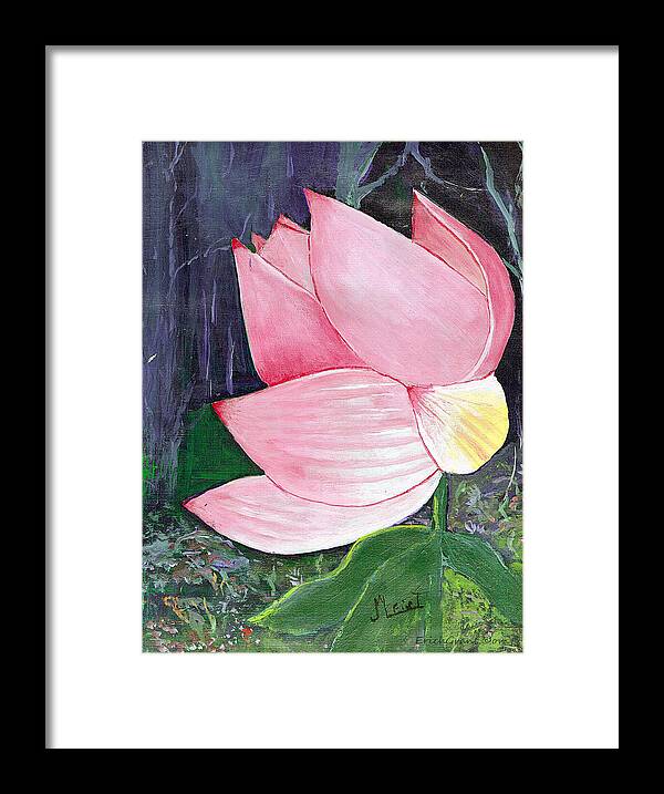 Texas Framed Print featuring the photograph Pink Petals by Erich Grant