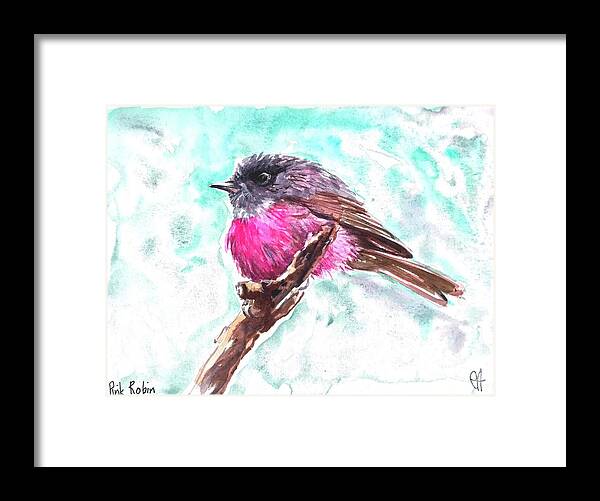 Bird Framed Print featuring the painting Pink Robin by Chris Hobel