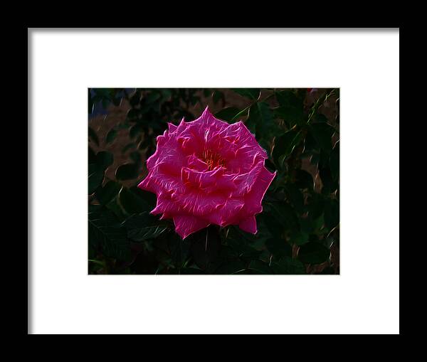 Rose Framed Print featuring the digital art Pink Rose Electric by Flees Photos