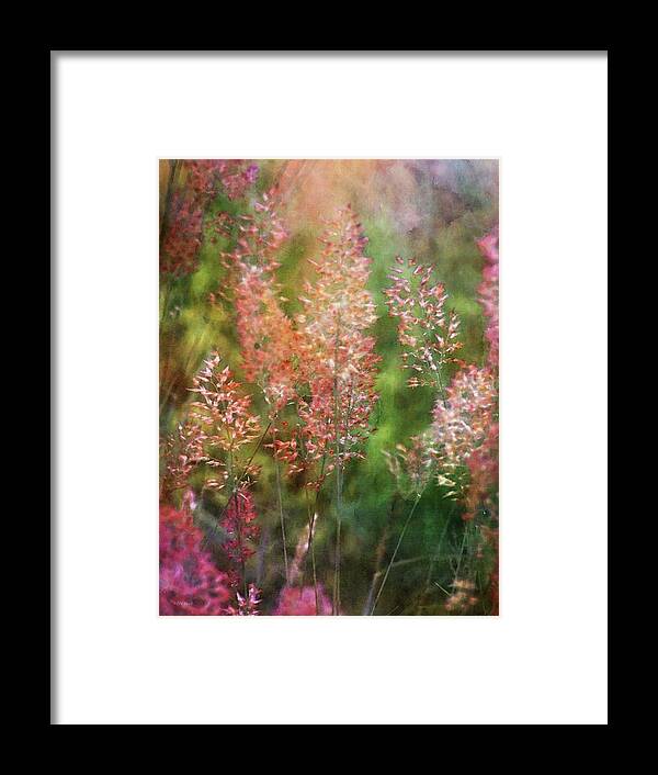 Impressionist Framed Print featuring the photograph Pink Tails 4242 IDP_2 by Steven Ward