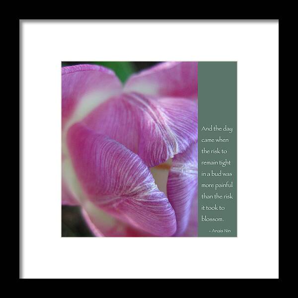 Tulip Framed Print featuring the photograph Pink Tulip with Anais Nin Quote by Hermes Fine Art