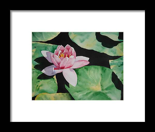 Flower Framed Print featuring the painting Pink Waterlily by Laurie Anderson