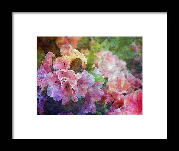 Impressionist Framed Print featuring the photograph Pink With White Frills 1503 IDP_3 by Steven Ward