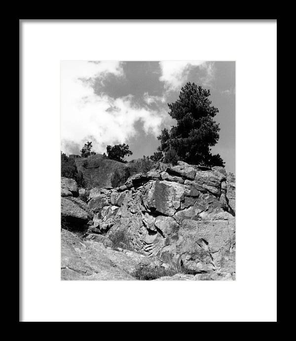 Landscape Framed Print featuring the photograph Pinnacle Pine by Allan McConnell