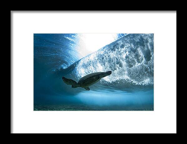  Ocean Framed Print featuring the photograph Pipe Turtle Glide - part 3 of 3 by Sean Davey
