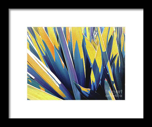 Yellow Framed Print featuring the photograph Plant Burst - Yellow by Rebecca Harman