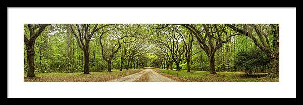 Art Framed Print featuring the photograph Plantation Path by Jon Glaser