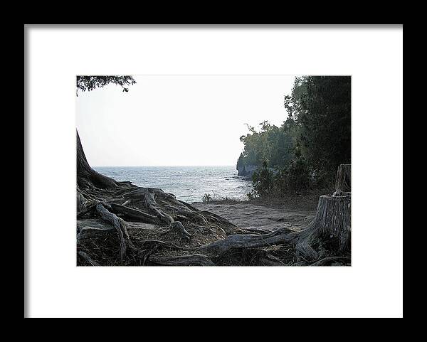 Door County Framed Print featuring the photograph Planted by Terence McSorley