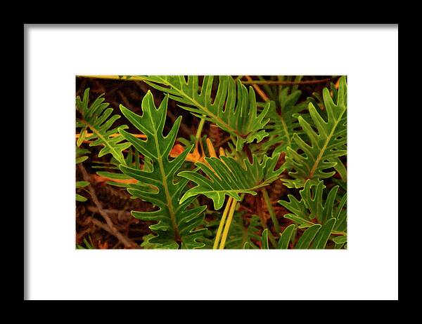 Flower Framed Print featuring the photograph Plants and Flowers Digital Oil #001 by Flees Photos