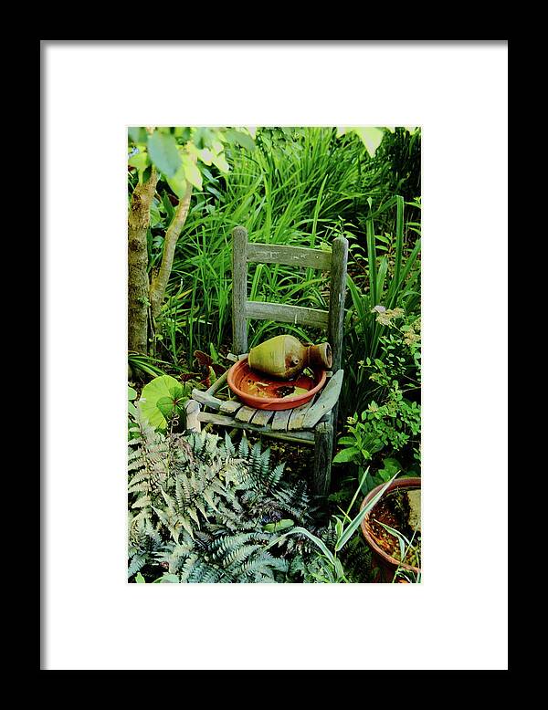 Plants Framed Print featuring the photograph Plants and Simple Things by Allen Nice-Webb
