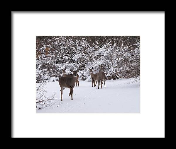 Hovind Framed Print featuring the photograph Playing in the Snow by Scott Hovind