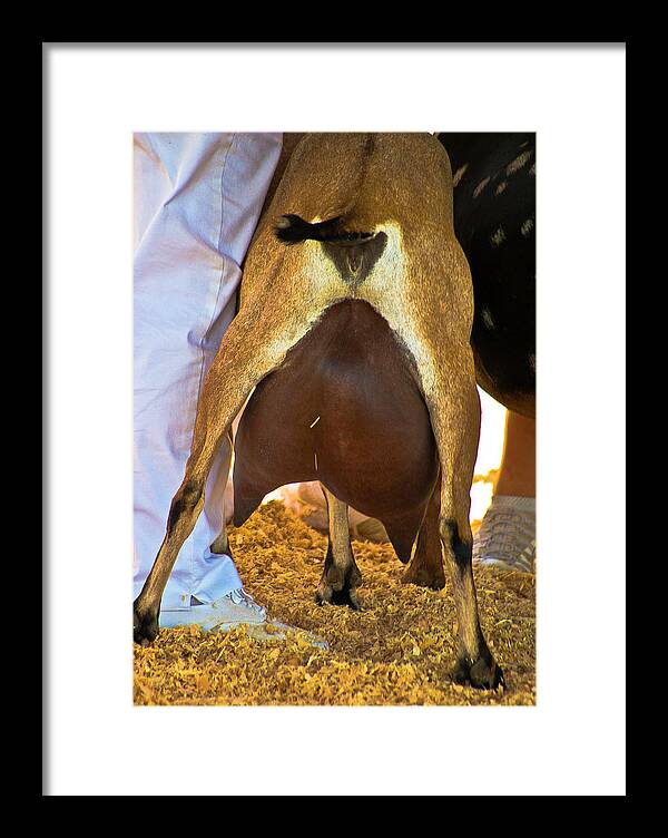 Goat Framed Print featuring the photograph Please Hurry by Dale Stillman