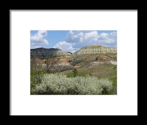 North Dakota Framed Print featuring the photograph Plum Thicket near the Burning Coal Vein by Cris Fulton