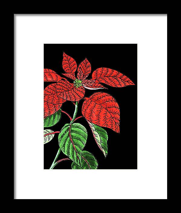 Poinsettia Framed Print featuring the painting Poinsettia Plant Watercolour by Irina Sztukowski