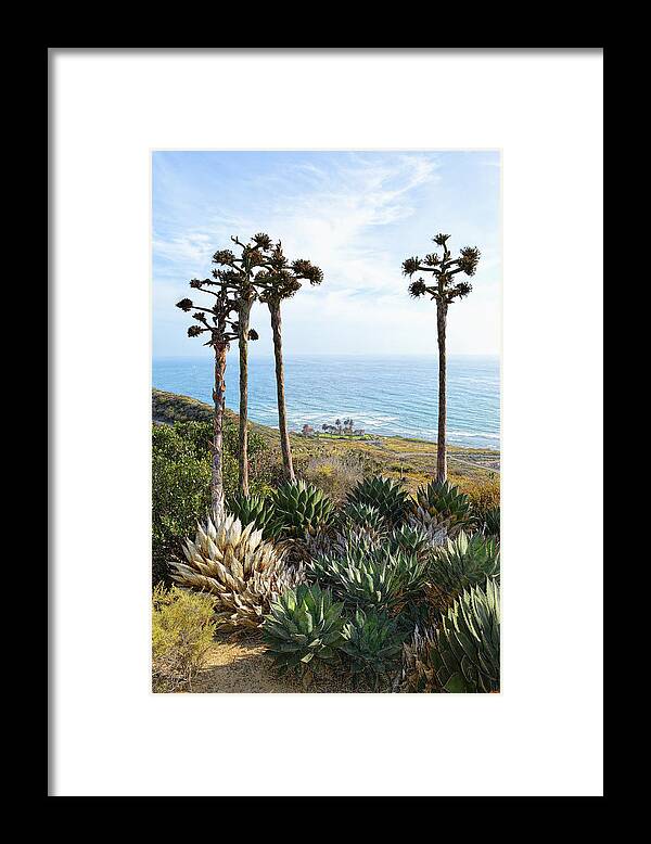 Point Loma Lighthouse Framed Print featuring the photograph Point Loma Lighthouse Overlook by Glenn McCarthy Art and Photography