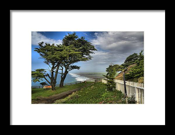 Point Reyes Framed Print featuring the photograph Point Reyes Windblown Cypress by Adam Jewell
