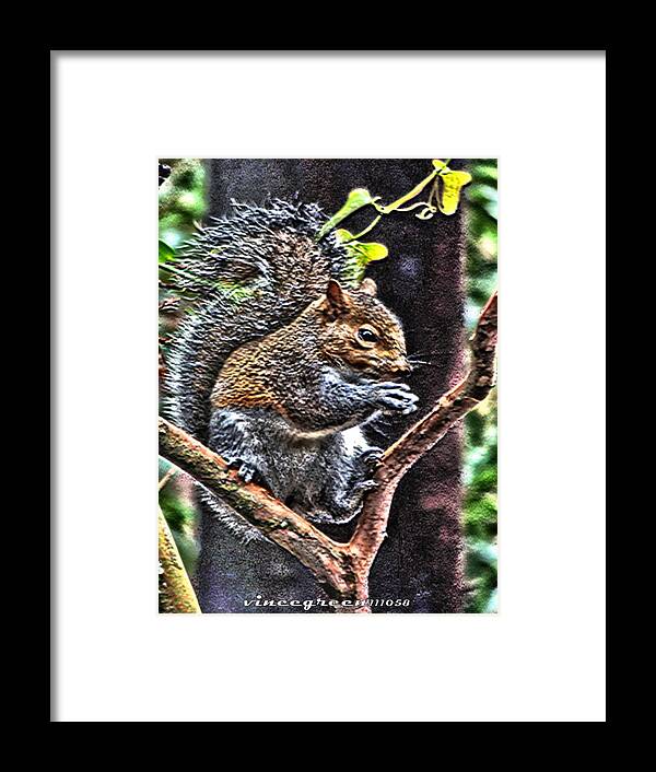 Squirrel Framed Print featuring the digital art Poised by Vincent Green