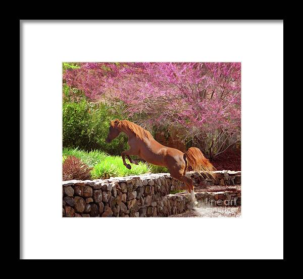 Chestnut Horse Framed Print featuring the photograph Polaris the Jumper by Melinda Hughes-Berland