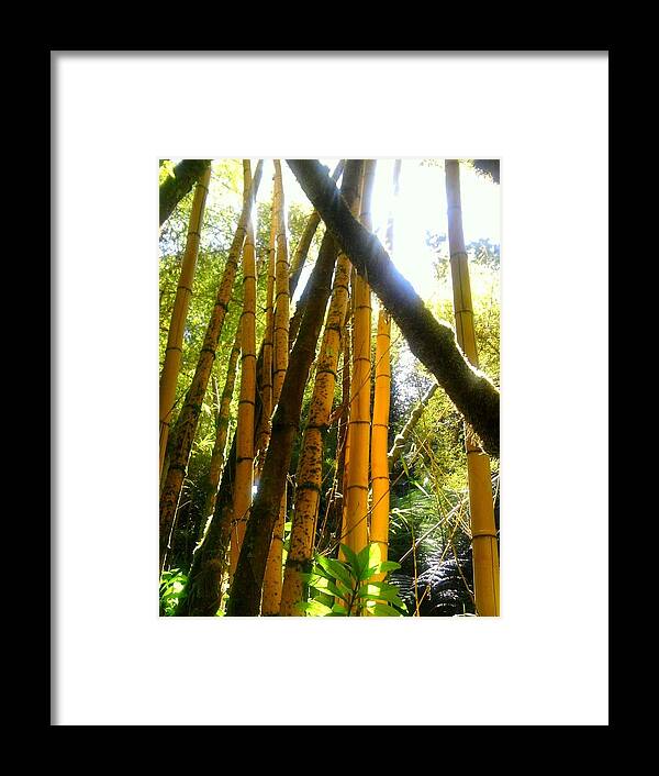 Gold Framed Print featuring the photograph Poles of gold by Charles Jennison