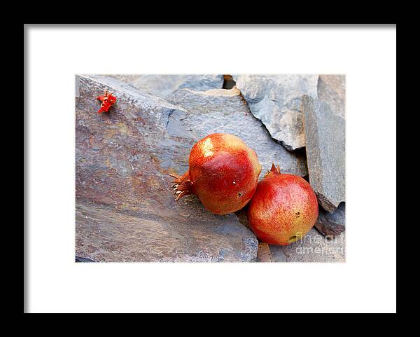  Framed Print featuring the photograph Pomegranates on stone by Cindy Garber Iverson