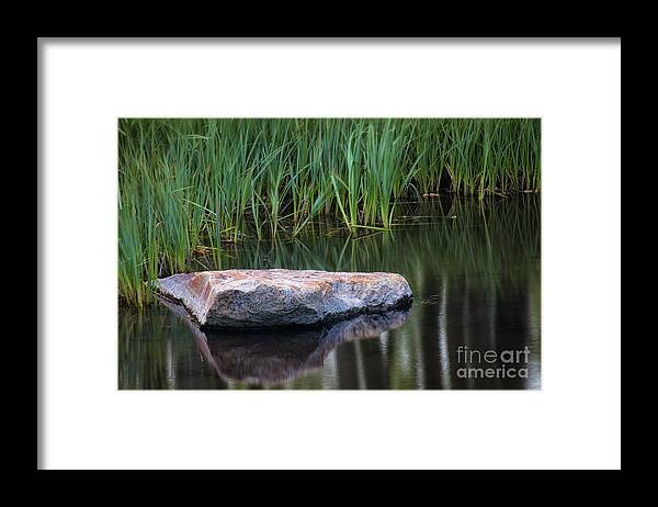 Pond Framed Print featuring the photograph Pond by Anthony Michael Bonafede