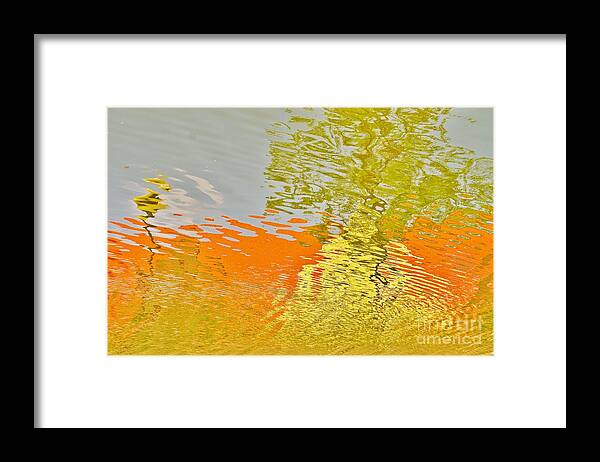 Reflections Framed Print featuring the photograph Pond Reflection by Merle Grenz