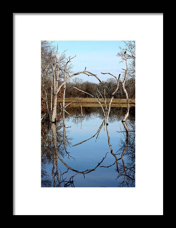 Nature Framed Print featuring the photograph Pond Reflection by Sheila Brown