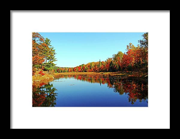 Killarney Provincial Park Framed Print featuring the photograph Pond Reflections by Debbie Oppermann