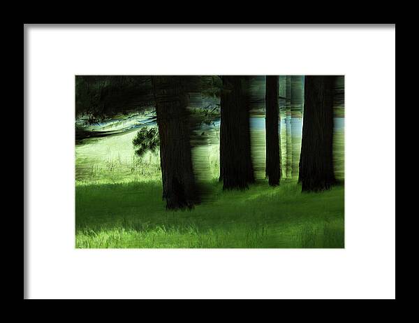 Trees Framed Print featuring the photograph Ponderosa Hide And Seek by Deborah Hughes
