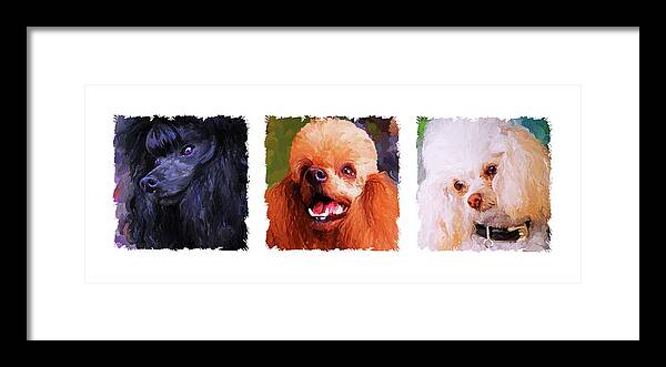 Poodle Framed Print featuring the painting Poodle Trio by Jai Johnson