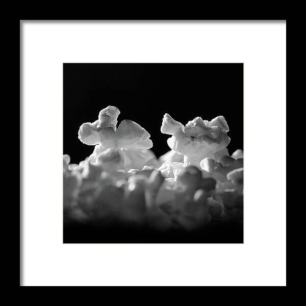 Popcorn Framed Print featuring the photograph Popcorn Paso Doble by Ted Keller