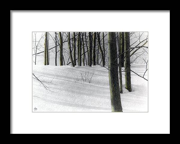 Aspen Framed Print featuring the photograph Poplars by Wayne King