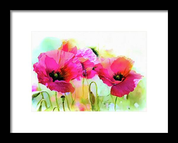 Poppy Framed Print featuring the mixed media Poppies by Lilia S
