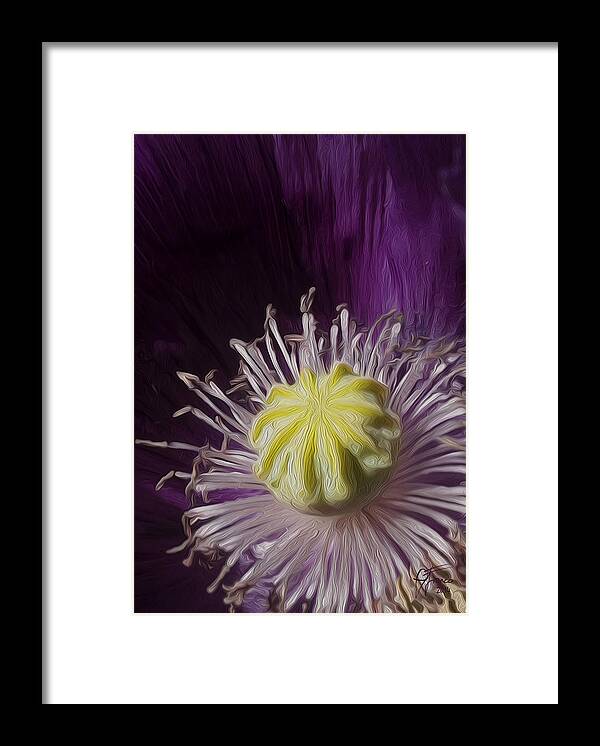 Floral Framed Print featuring the digital art Poppy heart by Vincent Franco